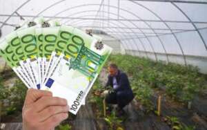 ajutor de minimis, ajutorul de minimis de 1.000 de euro
