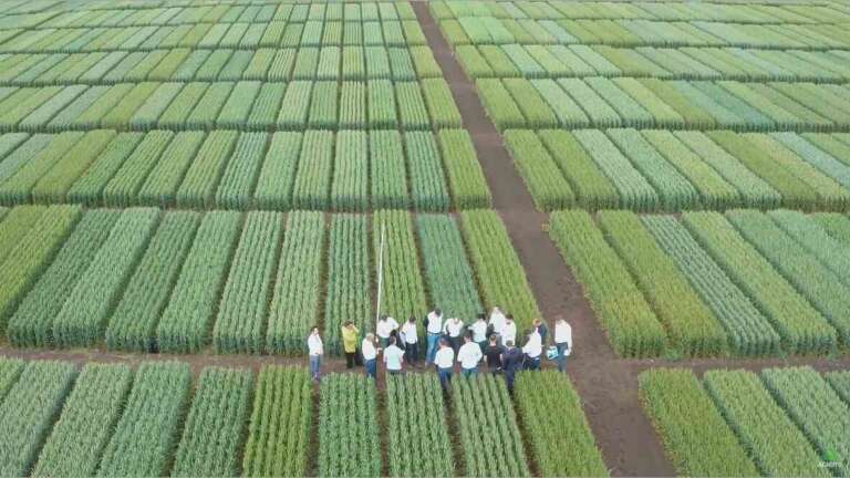 testarea produselor agricole la RWA