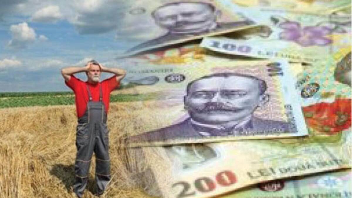 secetă din 2022, despăgubiri, evaluare a pagubelor, despăgubirile de secetă, calamități