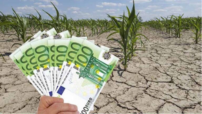 sprijin secetă, despăgubirile pentru seceta din 2022 despagubirile de seceta, asigurarea pentru secetă