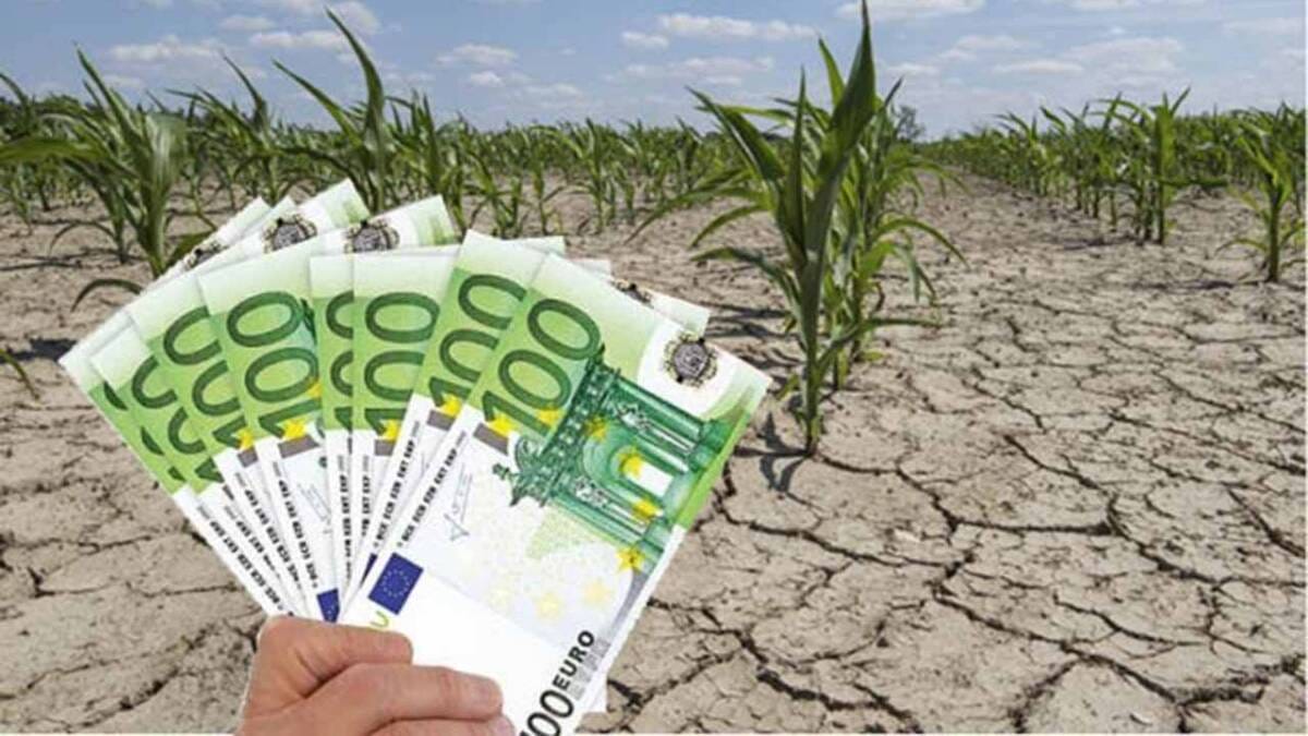 sprijin secetă, despăgubirile pentru seceta din 2022 despagubirile de seceta, asigurarea pentru secetă