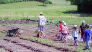 agricultura biodinamica