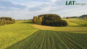 fertilizarea grâului din toamnă