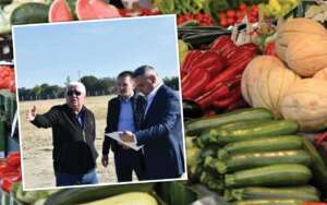 produse alimentare Made in Romania