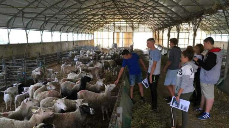 finanțare