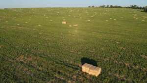 terenuri