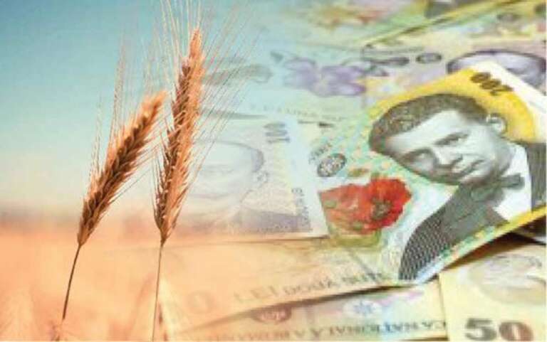 topul celor mai mari companii agricole