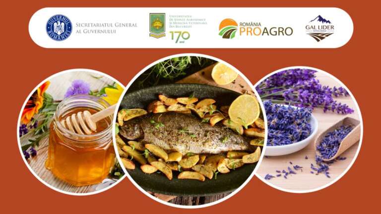 Produse din Balcani