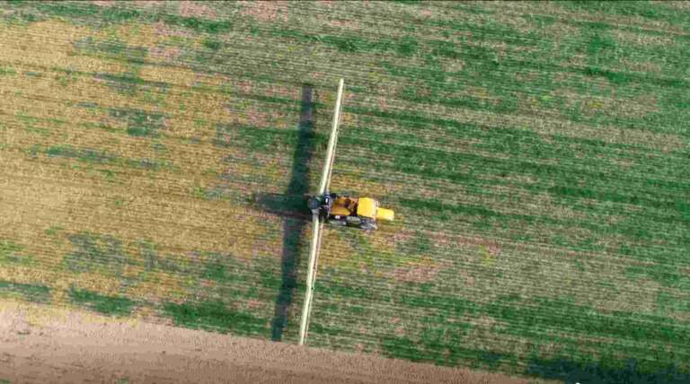 FieldView