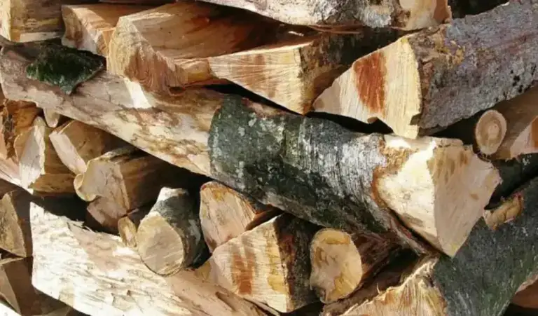 lemnele de foc, cât costă un metru cub de lemn de foc