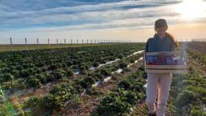 Corteva Agriscience