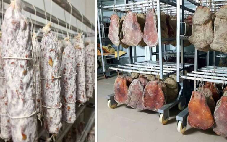 carne de vânat