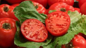 semințe de legume, semințe pentru legume