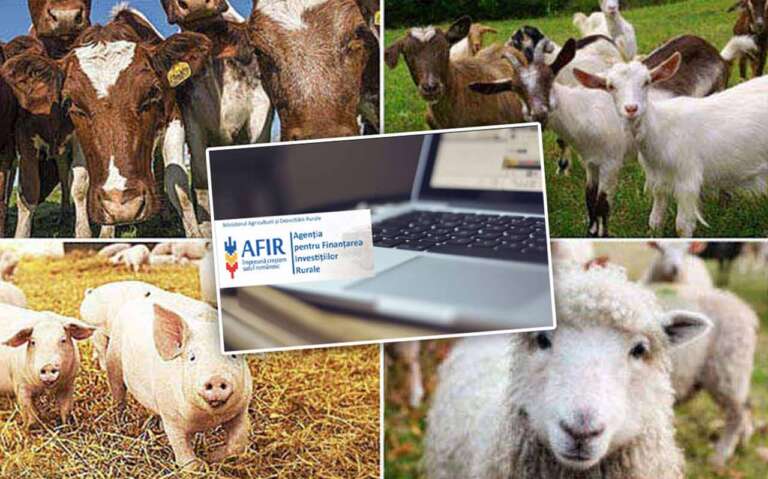 AFIR sectorul zootehnic