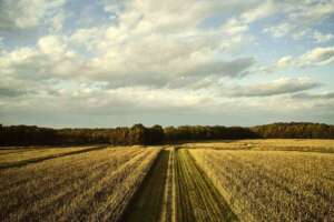 Corteva Agriscience