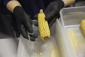 Corteva Agriscience