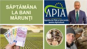 proiecte de finanțare