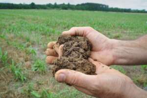 agricultură