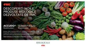 FMC