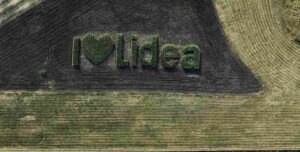 Schimbare Management Lidea, Business Unit Europa sud-est Advertorial dăunători