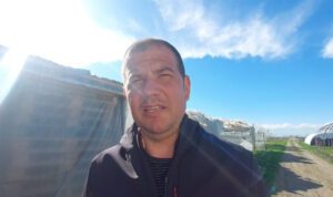 legumicultori, solarii