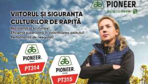 Pioneer®