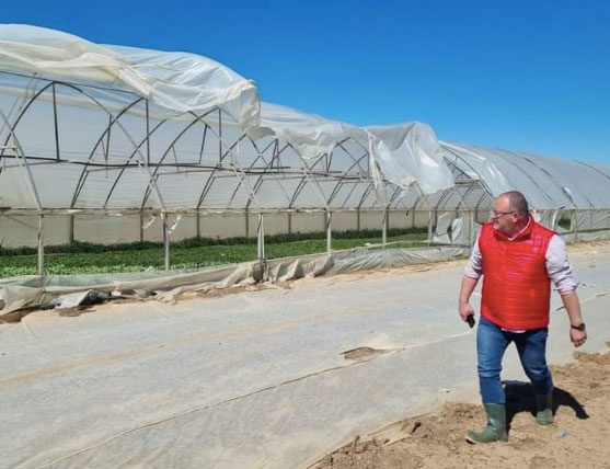 Legumicultorii sunt disperați: Vijeliile au făcut zob solariile! Actualitate legumicultori,solarii