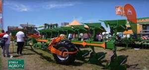 Amazone