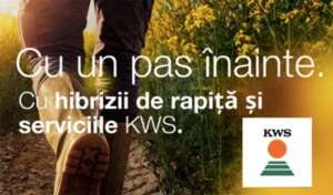 Sporiți Recolta de Rapiță cu KWS: Cu un pas înainte Advertorial KWS