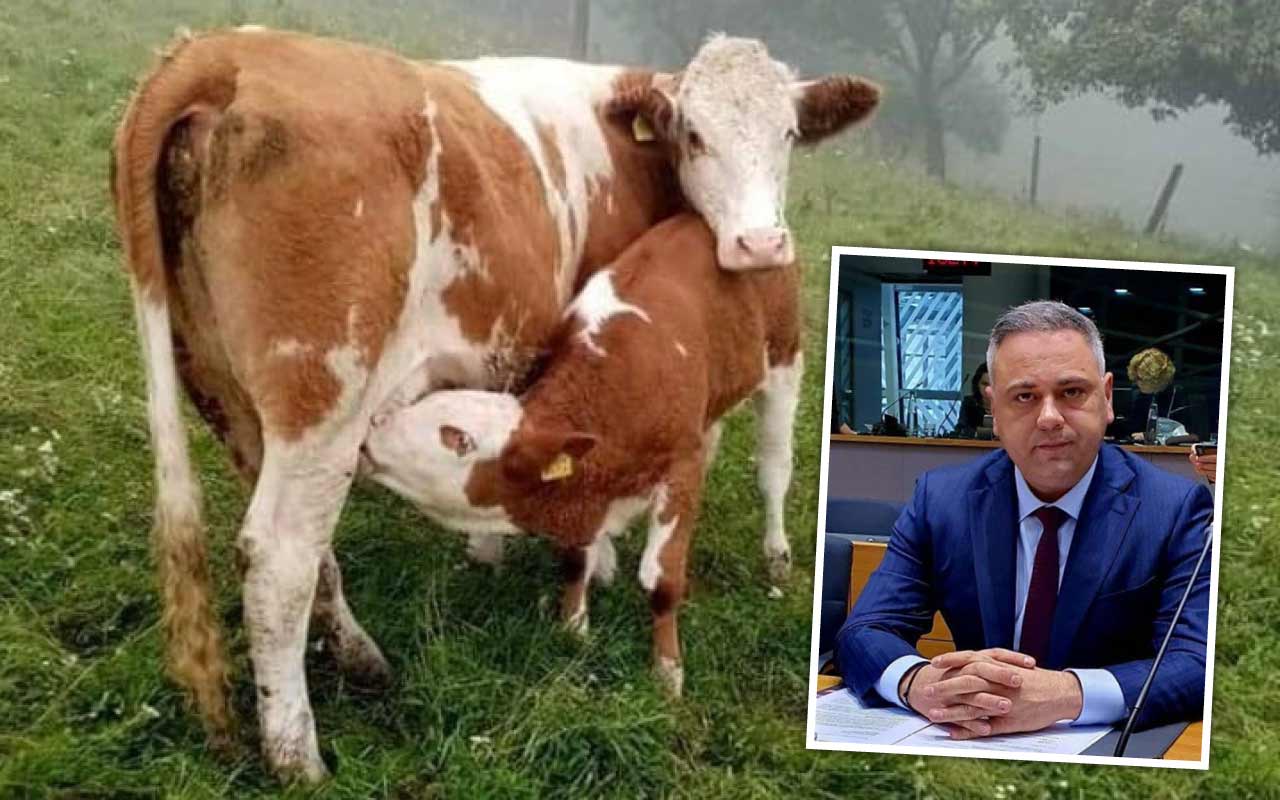 Florin Barbu, achiziția de animale de reproducție
