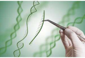 syngenta
