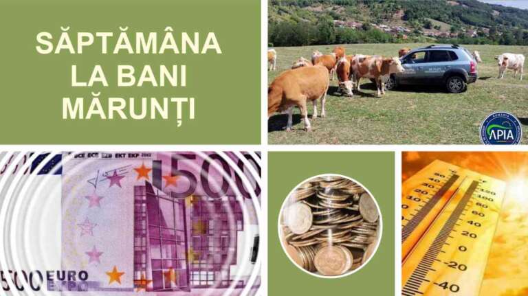 săptămâna agricolă 3-9,06,2024