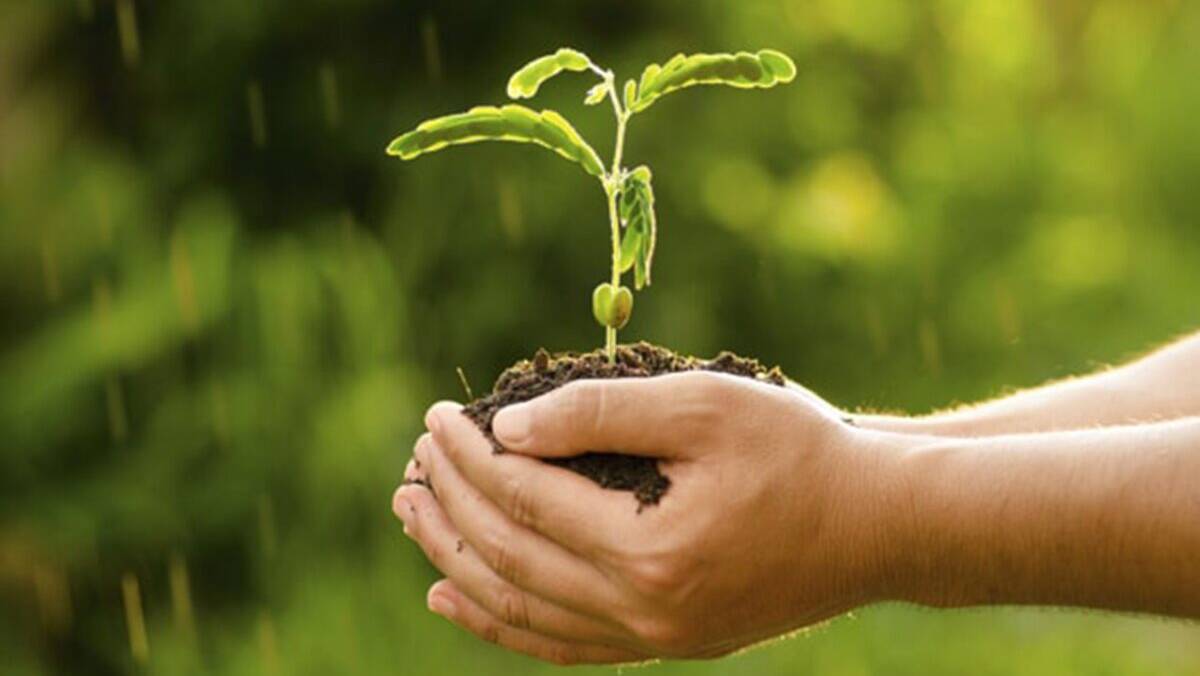 Adhoc, agricultura ecologică