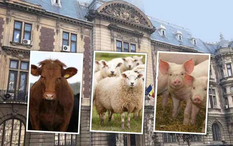 petiție zootehnie, ANZ