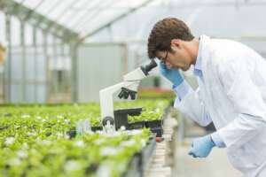 Syngenta