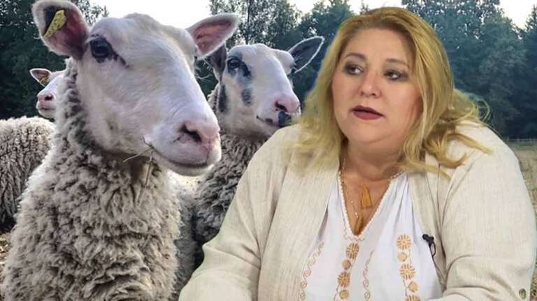 Diana Sosoaca