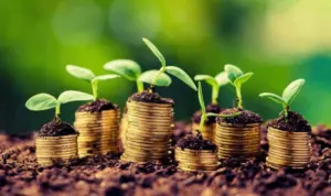 PS PAC 2023-2027 finantare micii fermieri subventiile pentru fermierii romani sprijinul cuplat subventie, ajutor de minimis MADR, finantari, platile la hectar, AFIR, când se lansează finanțările de la AFIR, subventia APIA
