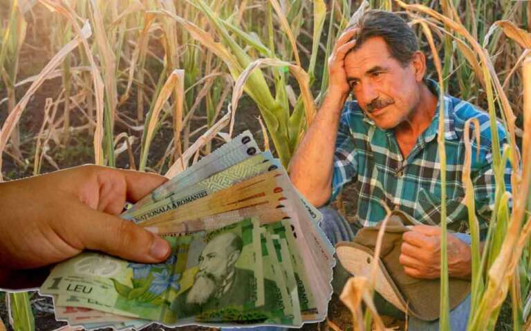 ajutorul de secetă