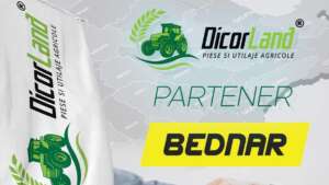 Dicor Land