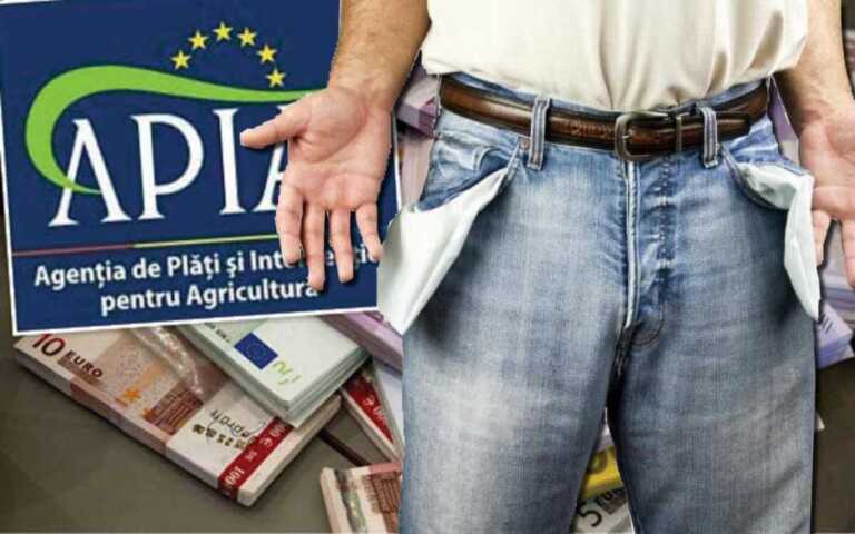 subvenții APIA