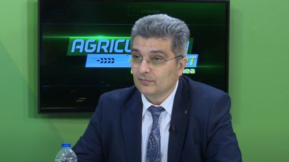 Florinel Bîrcă, ANZ