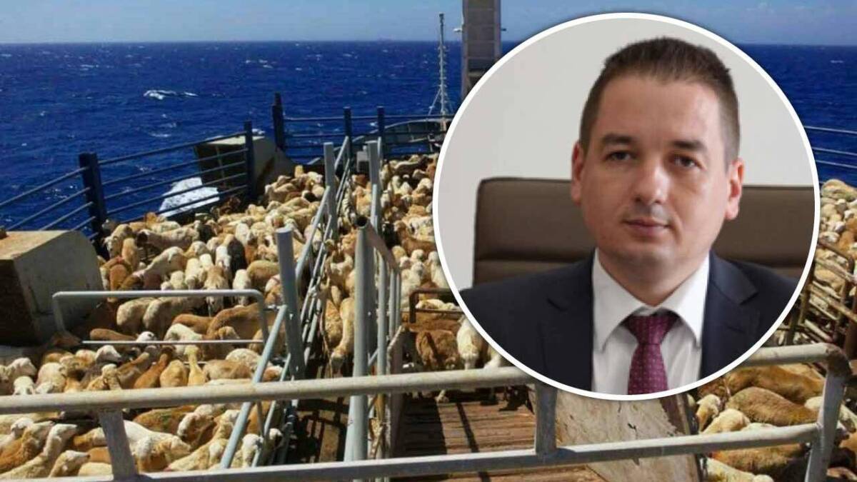exporturile de animale, ANSVSA