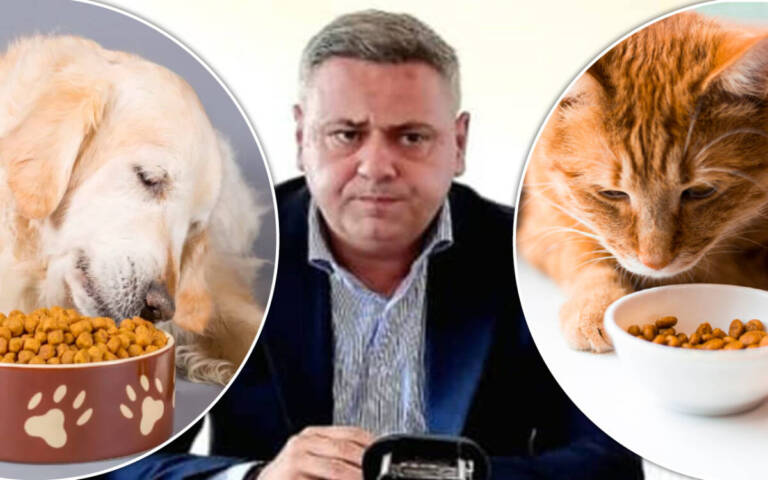 hrană pentru animalele de companie