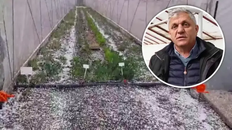 BRGV Buzău, Costel Vânătoru