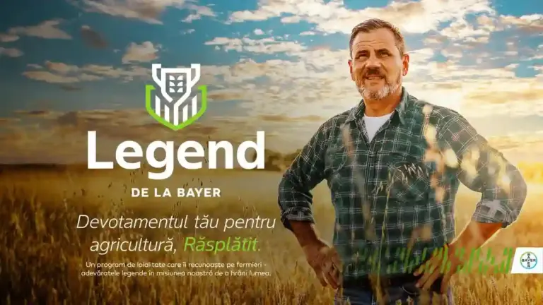 Bayer