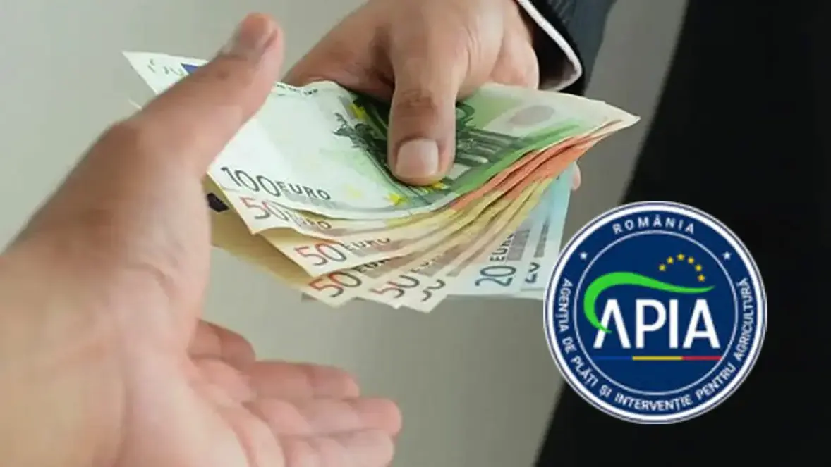 Ce subvenții APIA intră la plată zilele acestea 5 Ce subvenții APIA intră la plată zilele acestea Subvenții APIA, bani de la APIA