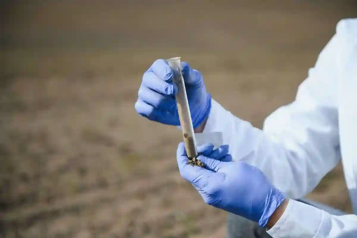 Metoda simplă prin care să evitați ,,fertilizarea în orb” 6 Metoda simplă prin care să evitați ,,fertilizarea în orb” Metoda simplă prin care să evitați ,,fertilizarea în orb” Advertorial fertilizare