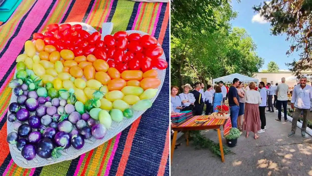 cultivatorii de tomate