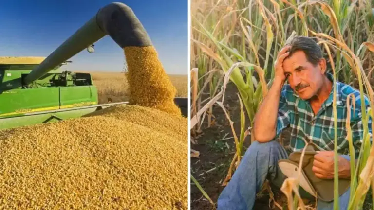 bilanțul anului agricol 2024-2025