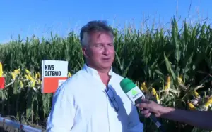 Investiții mici, câștiguri mari: Noul hibrid de porumb în care fermierii au încredere Advertorial hibrid de porumb